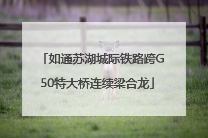 如通苏湖城际铁路跨G50特大桥连续梁合龙