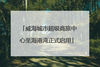 威海城市超级商旅中心至海港湾正式启用