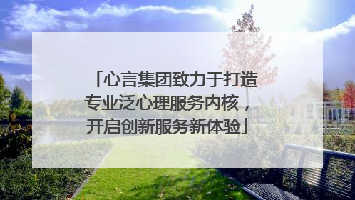 心言集团致力于打造专业泛心理服务内核，开启创新服务新体验