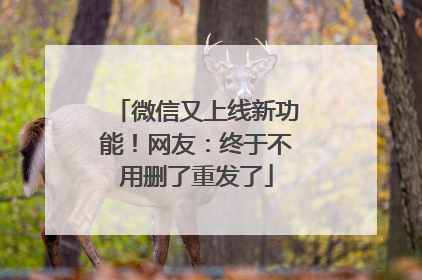 微信又上线新功能！网友：终于不用删了重发了