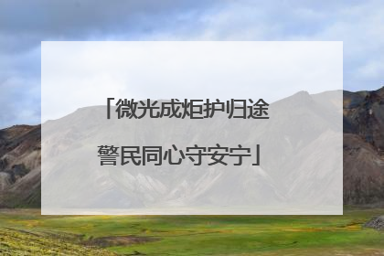 微光成炬护归途 警民同心守安宁