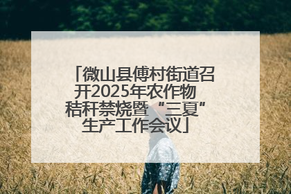 微山县傅村街道召开2025年农作物秸秆禁烧暨“三夏”生产工作会议