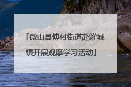 微山县傅村街道赴驩城镇开展观摩学习活动