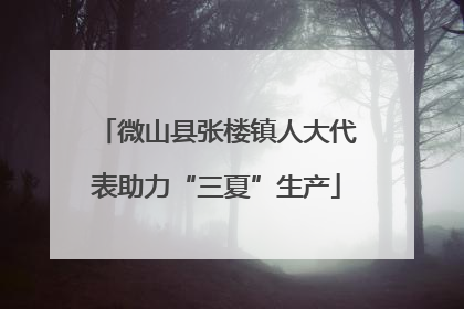微山县张楼镇人大代表助力“三夏”生产
