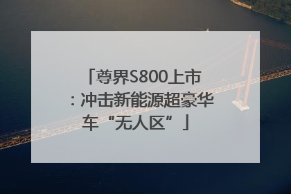 尊界S800上市：冲击新能源超豪华车“无人区”