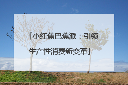 小红蕉巴蕉派：引领生产性消费新变革