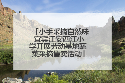 小手采摘自然味 宜宾江安西江小学开展劳动基地蔬菜采摘售卖活动
