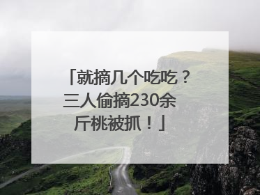 就摘几个吃吃？三人偷摘230余斤桃被抓！