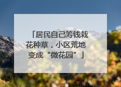 居民自己筹钱栽花种草，小区荒地变成“微花园”