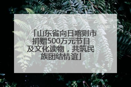 山东省向日喀则市捐赠500万元节目及文化读物，共筑民族团结情谊