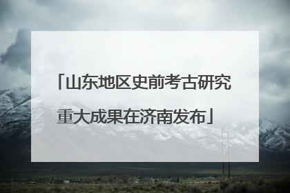 山东地区史前考古研究重大成果在济南发布