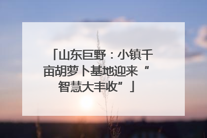 山东巨野：小镇千亩胡萝卜基地迎来“智慧大丰收”