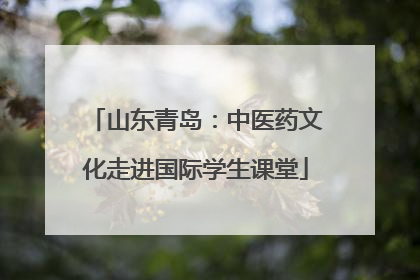 山东青岛：中医药文化走进国际学生课堂