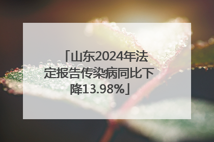 山东2024年法定报告传染病同比下降13.98%