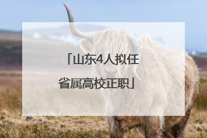 山东4人拟任省属高校正职