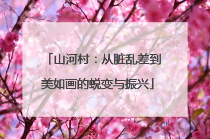 山河村：从脏乱差到美如画的蜕变与振兴