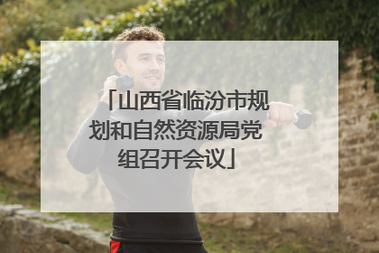 山西省临汾市规划和自然资源局党组召开会议
