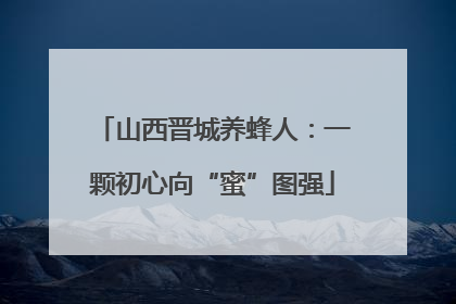 山西晋城养蜂人：一颗初心向“蜜”图强