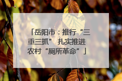 岳阳市：推行“三重三抓” 扎实推进农村“厕所革命”