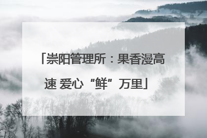 崇阳管理所：果香漫高速 爱心“鲜”万里