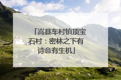 嵩县车村镇顶宝石村：密林之下有诗意有生机
