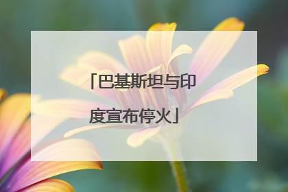 巴基斯坦与印度宣布停火