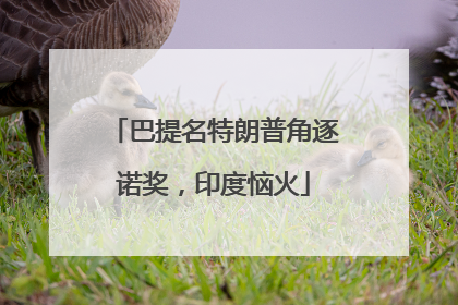 巴提名特朗普角逐诺奖，印度恼火