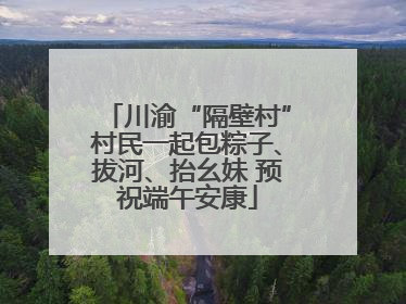 川渝“隔壁村”村民一起包粽子、拔河、抬幺妹 预祝端午安康
