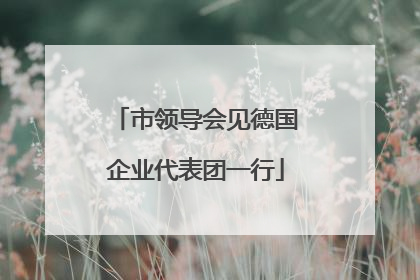 市领导会见德国企业代表团一行
