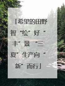 希望的田野智“绘”好“丰”景 “三夏”生产向“新”而行