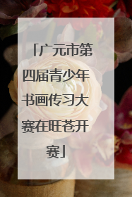 广元市第四届青少年书画传习大赛在旺苍开赛