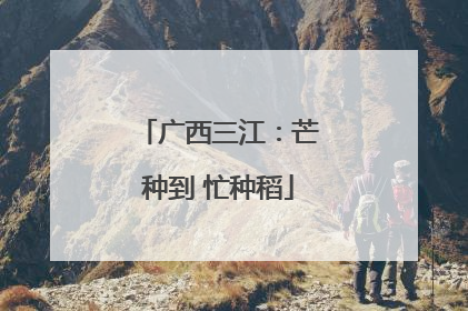 广西三江：芒种到 忙种稻