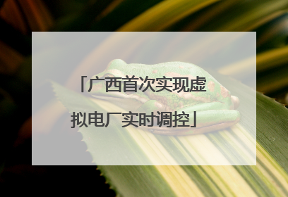 广西首次实现虚拟电厂实时调控