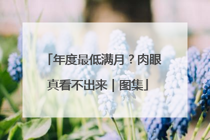 年度最低满月？肉眼真看不出来｜图集