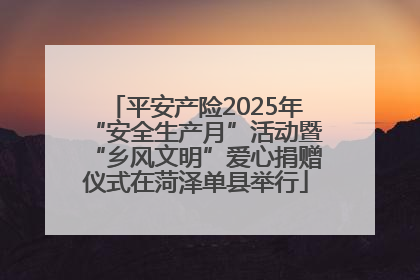 平安产险2025年“安全生产月”活动暨“乡风文明”爱心捐赠仪式在菏泽单县举行