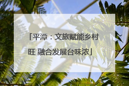 平潭：文旅赋能乡村旺 融合发展台味浓