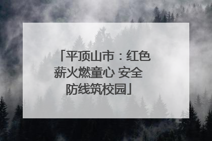 平顶山市：红色薪火燃童心 安全防线筑校园