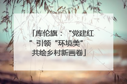 库伦旗：“党建红”引领“环境美” 共绘乡村新画卷