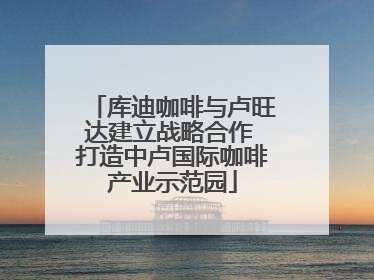 库迪咖啡与卢旺达建立战略合作 打造中卢国际咖啡产业示范园