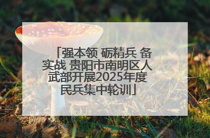 强本领 砺精兵 备实战 贵阳市南明区人武部开展2025年度民兵集中轮训
