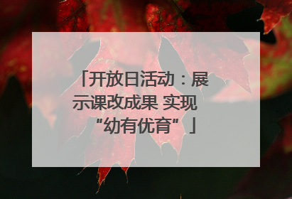 开放日活动：展示课改成果 实现“幼有优育”
