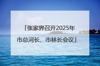 张家界召开2025年市总河长、市林长会议