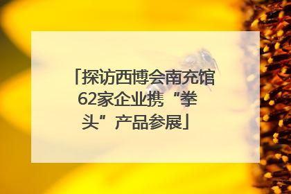 探访西博会南充馆 62家企业携“拳头”产品参展