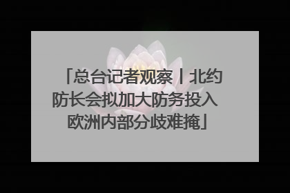 总台记者观察丨北约防长会拟加大防务投入 欧洲内部分歧难掩