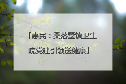 惠民：桑落墅镇卫生院党建引领送健康