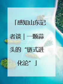 感知山东记者谈｜一颗蒜头的“链式进化论”