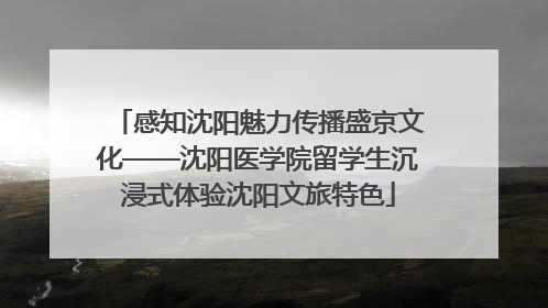 感知沈阳魅力传播盛京文化——沈阳医学院留学生沉浸式体验沈阳文旅特色
