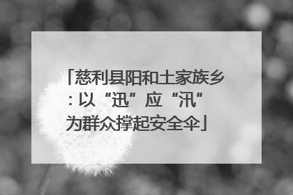慈利县阳和土家族乡：以“迅”应“汛” 为群众撑起安全伞