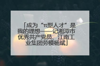 成为“π型人才”是我的理想——记湘潭市优秀共产党员、江南工业集团劳模杨斌
