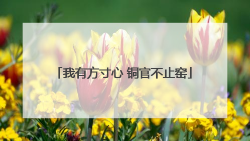我有方寸心 铜官不止窑
